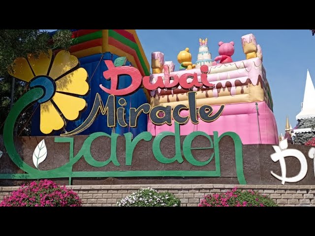 Miracle Garden